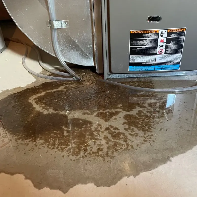 Pipe Burst and Leak Restoration in Napa County, CA